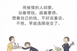 邵东债务清欠服务